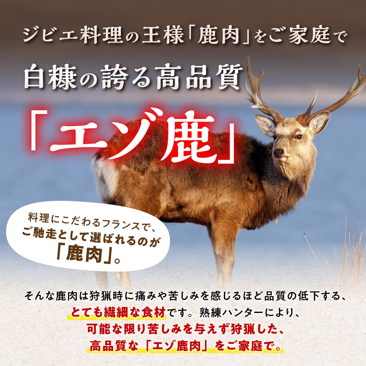 【おとやんさん専用】鹿の角、22本セット、全て狩り角で極上品※500円引き済 鹿肉セット 3種類 計5パック（北海道白糠町） | ふるさと納税サイト