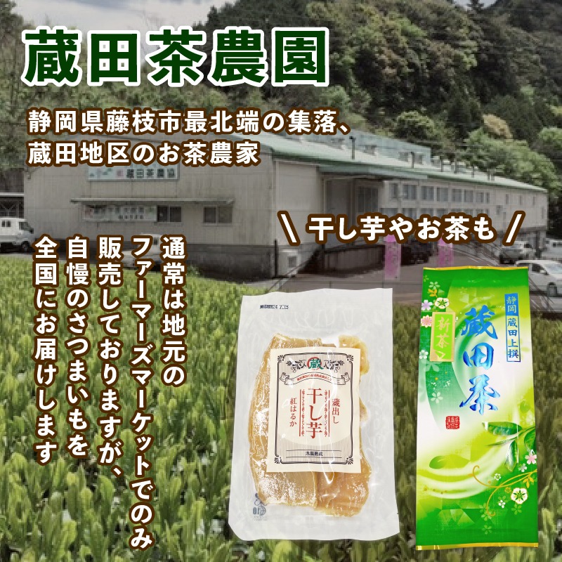 2025年 新茶 お茶 静岡蔵田 上撰蔵田茶 100g 3袋 浅蒸し 茶 藤枝茶