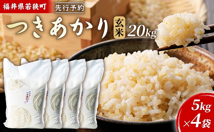 2月お届け】令和8年産 若狭町ツキアカリ玄米20kg 米 お米 つきあかり
