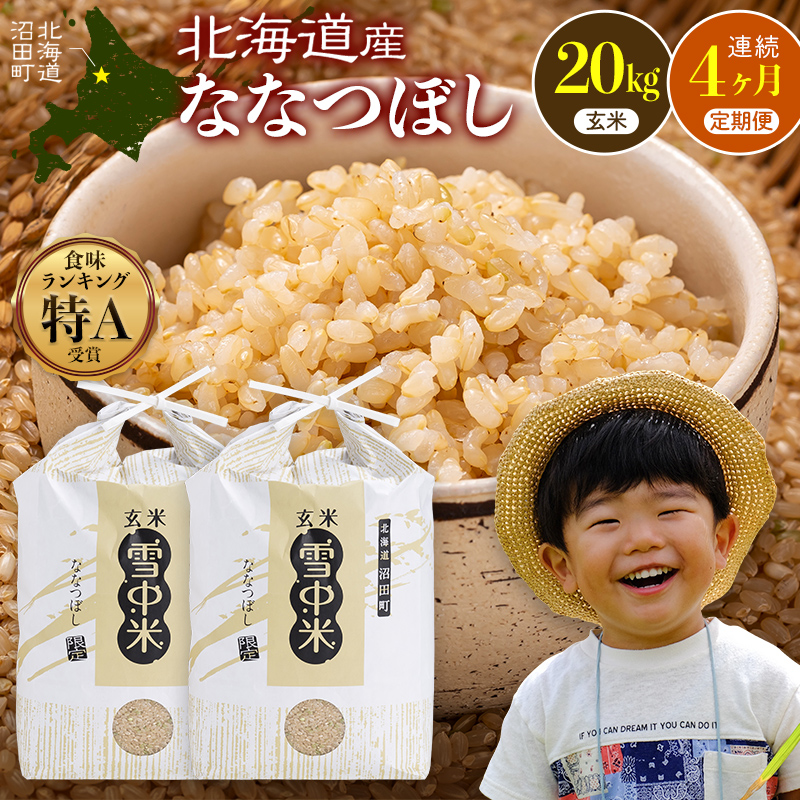令和8年産【定期便4ヶ月】ななつぼし 玄米 20kg（10kg×2袋） 【2月発送