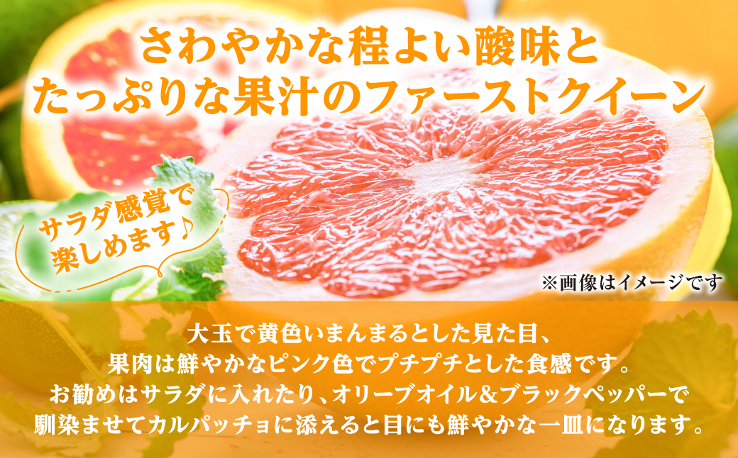 文旦　柑橘　92 土佐文旦 | みかん大事典 | みかんのことなら「のま果樹園