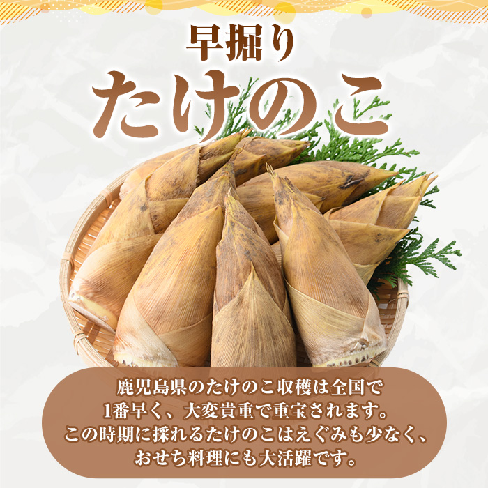 先行予約受付中！2026年12月上旬以降順次発送予定＞訳あり！鹿児島県産