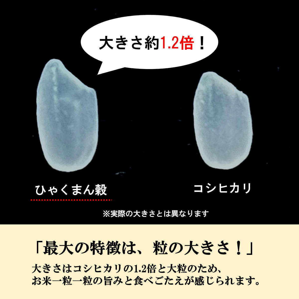 令和7年産】【日本農業賞大賞】ひゃくまん穀9kg(4.5kg×2袋)精白米 能美