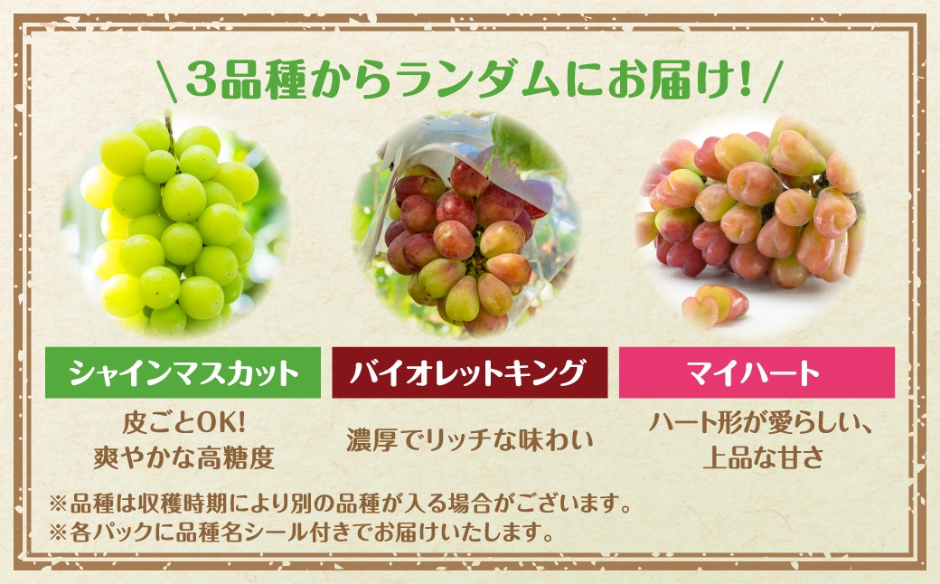 先行予約】 ぶどう食べ比べパック 約300g×4パック (訳あり粒タイプ