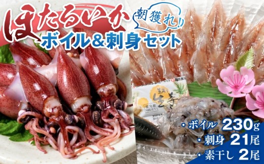 先行予約】ほたるいか ボイル＆刺身セット【27年3月中旬以降順次発送