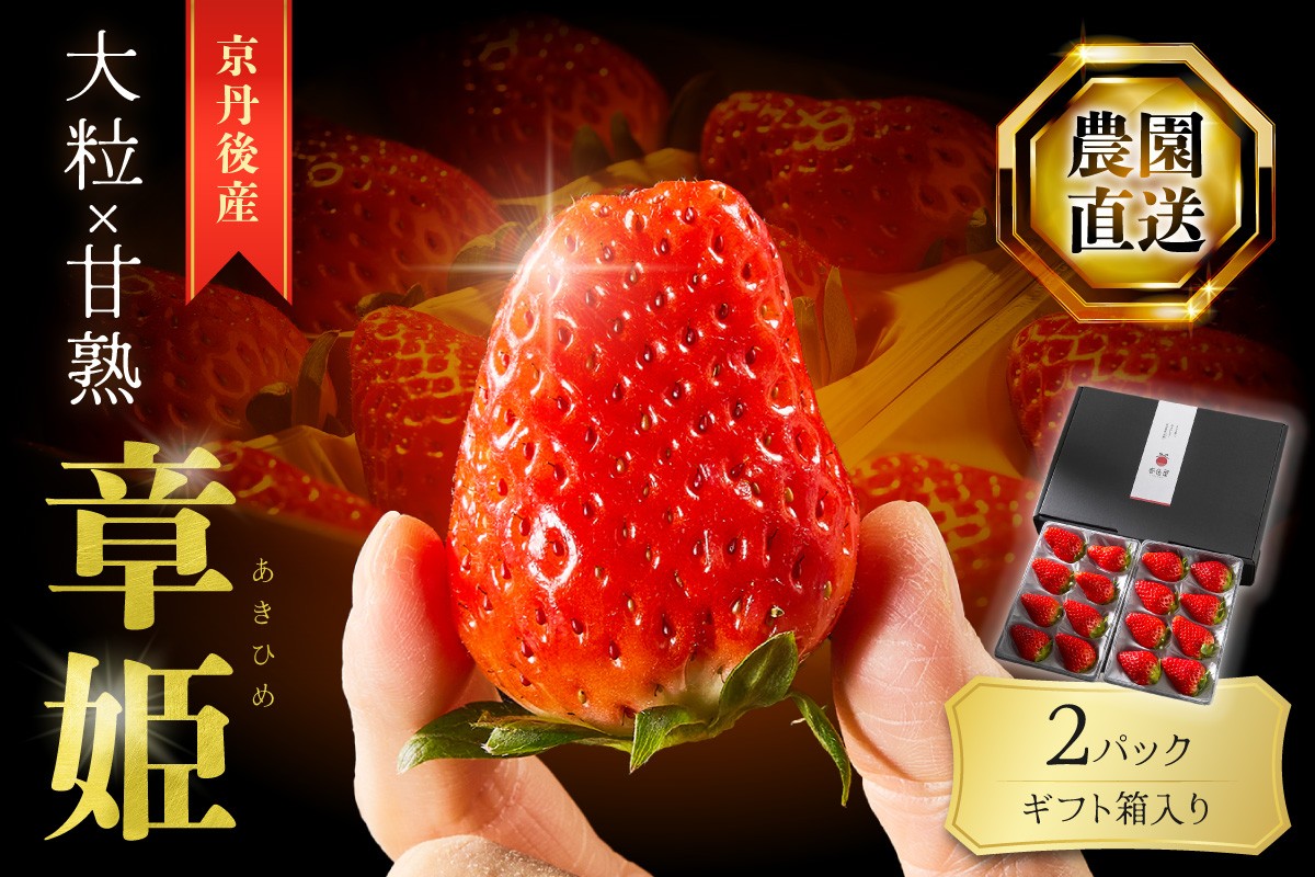 京丹後産いちご章姫】農園直送便！新鮮大粒いちご 2パック ギフト