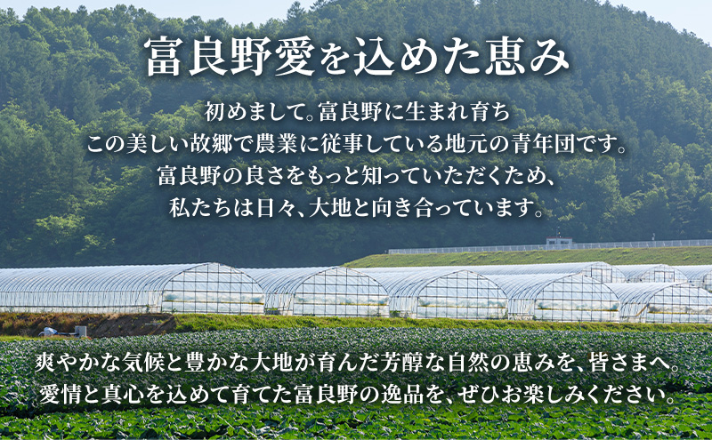 北海道産ハウス栽培朝採りグリーンアスパラ Lサイズまとめ売り4キロ 2027年春発送 ふらの産 グリーンアスパラ1kg［Lサイズ］ハウス栽培