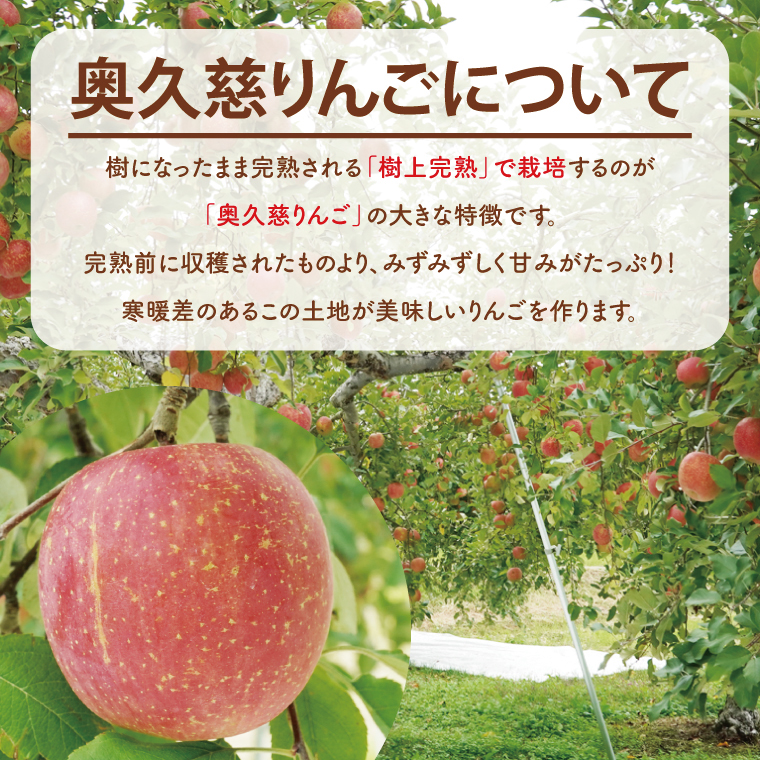斉藤りんご園の奥久慈りんごジュース（ストレート）1000ml×6 本セット