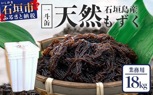 天然もずく・業務用18kg入り一斗缶2025年新もずく SI-2-1（沖縄県石垣