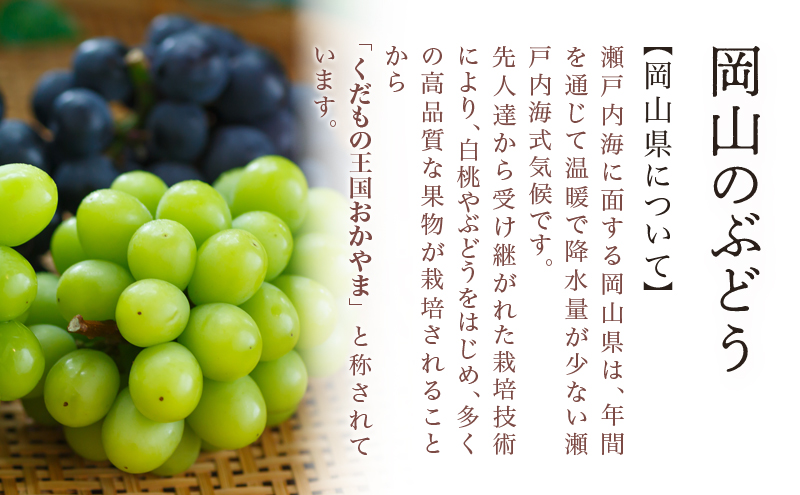 桃 ぶどう 2026年 先行予約 果物 詰合せ 白桃 2玉（1玉220g以上