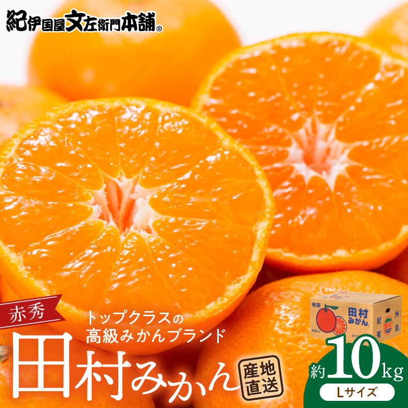 V7442_【2026年先行予約】田村みかん／特選ギフト品10kg【Lサイズ】赤