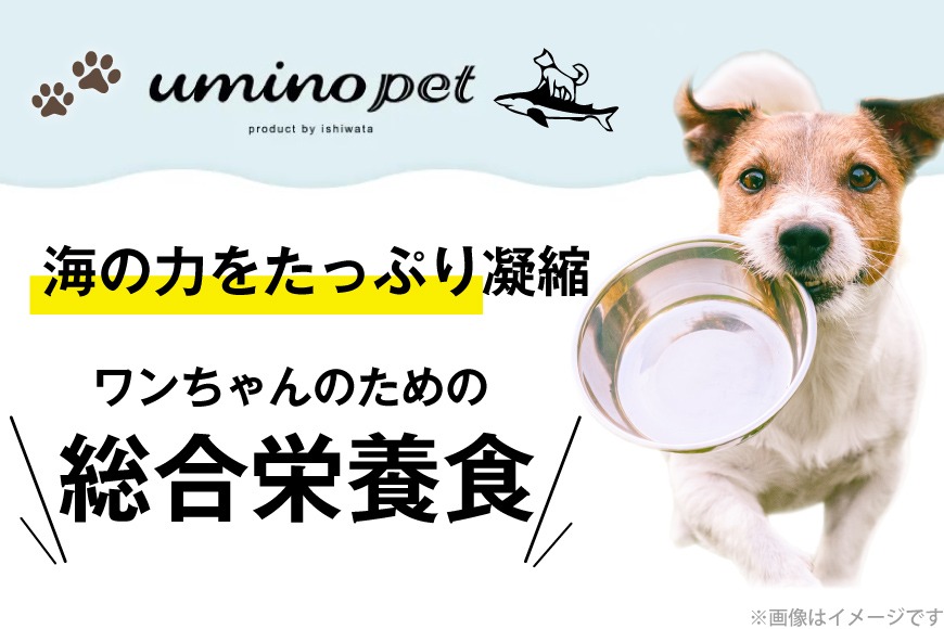 ドッグフード UMINO PET 総合栄養食 800g 2袋 [石渡商店 宮城県 気仙沼