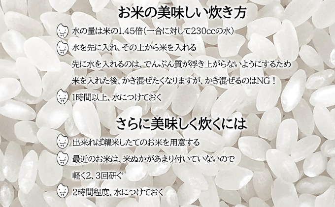 先行受付】令和8年産 ななつぼし10kg(10kg袋×1個)北海道 特A 精米 米
