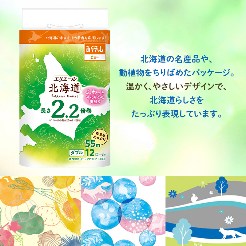 2回お届け 計144ロール】エリエール 北海道 トイレット なまらたっぷり