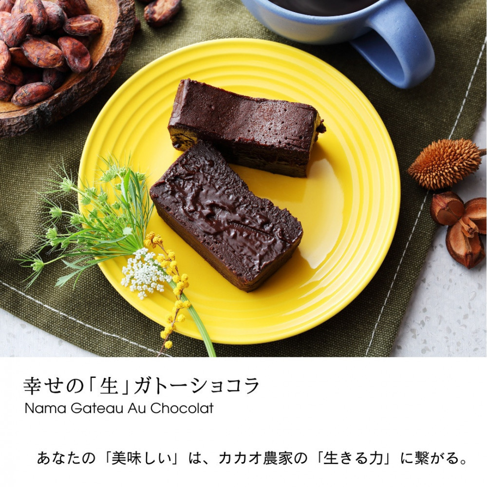 極上の口溶け。幸せの生ガトーショコラ 450g 2本セット【 高級 濃厚