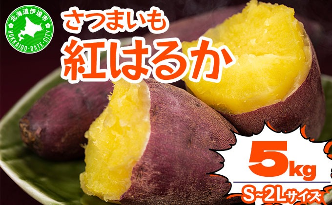 北海道 伊達 さつまいも 紅はるか 5kg 熟成 高糖度 サツマイモ 芋 甘い