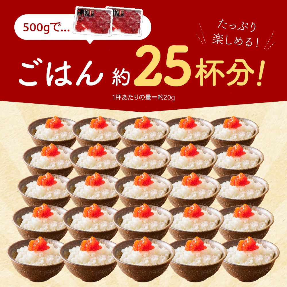 すじこ 訳あり 北海道 紅鮭 塩 筋子 500g (250g×2個入）加藤水産