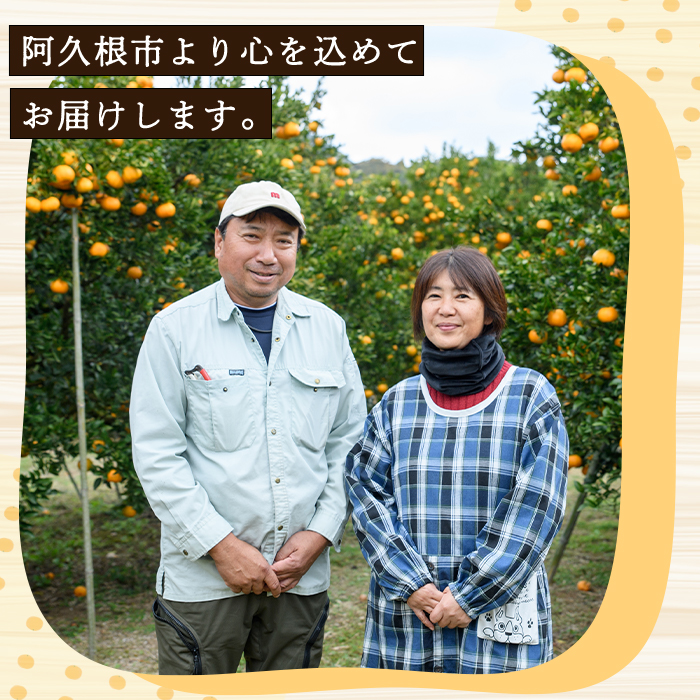 先行予約受付中！2027年2月上旬以降順次発送予定＞ 訳あり！紅甘夏 (約