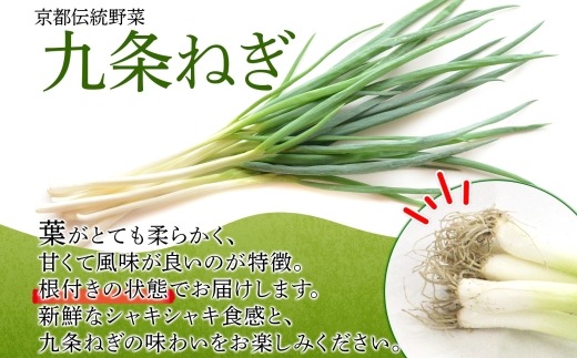 九条ねぎ 原体 根付き 3kg 京のおねぎはん ｜ 京野菜 京都府産