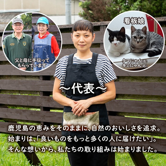 isa303 《毎月数量限定》手作りブルーベリージャム(計3個・各140g)地元