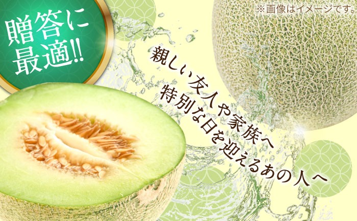 2026年4月下旬〜発送】【4回定期便】メロン 4種 食べ比べ / プリンス