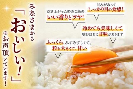 お米 令和６年産 さがびより／特A品種 5kg 送料無料》令和6年産／佐賀県産「さがびより」5kg｜酒見食品工業
