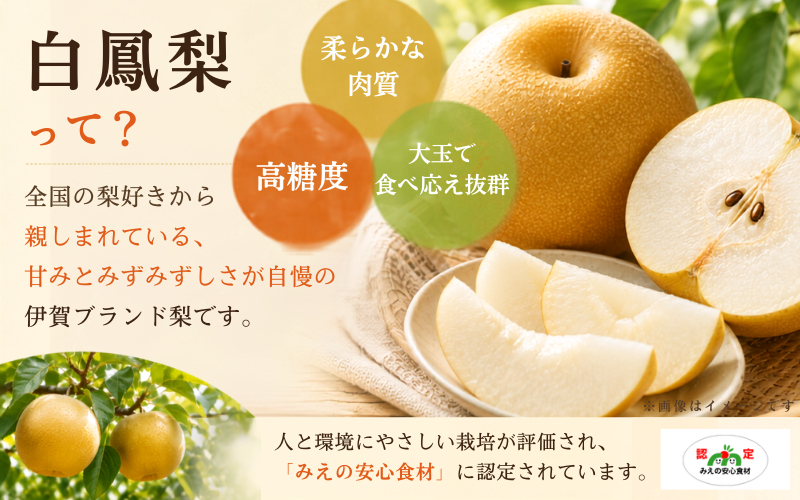 白鳳梨(幸水) 3L 14玉 ※お届けは8月中旬以降の予定です【hkns0003