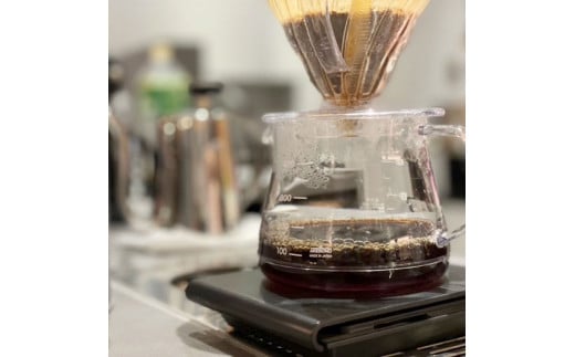 成化年製 豆杯 直径６㎝×高さ2.5㎝ 22g CF-R7hbk】自家焙煎コーヒー豆2種3パックセットC フィルター付き 各