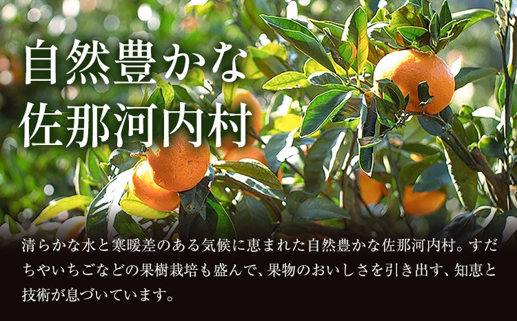特注品かえ蔵出し熟成和泉みかん 隠れ名産地 蔵出し熟成和泉みかん(中玉・大玉サイズミックス