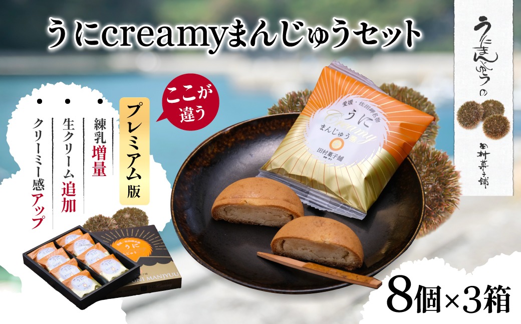 うにcreamyまんじゅうセット（8個入り×3箱） IKTK001（愛媛県伊方町