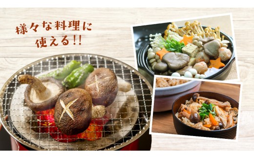 きのこ の 詰め合わせ Sサイズ ( 約1kg ) （茨城県共通返礼品：城里町