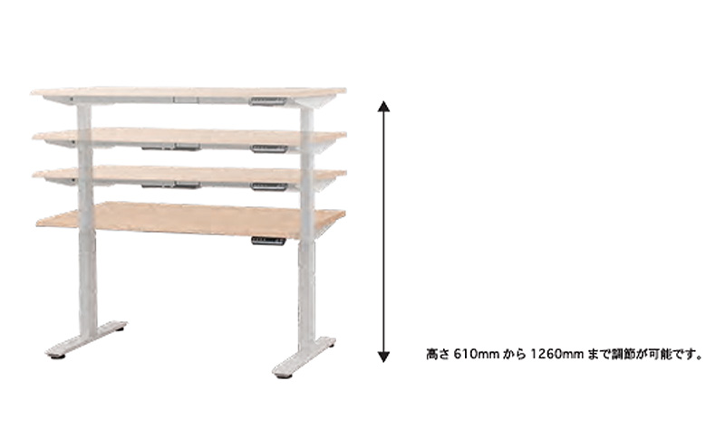WORK STUDIO コンパクト電動昇降デスク DD-WC12060-MRB 机 デスク
