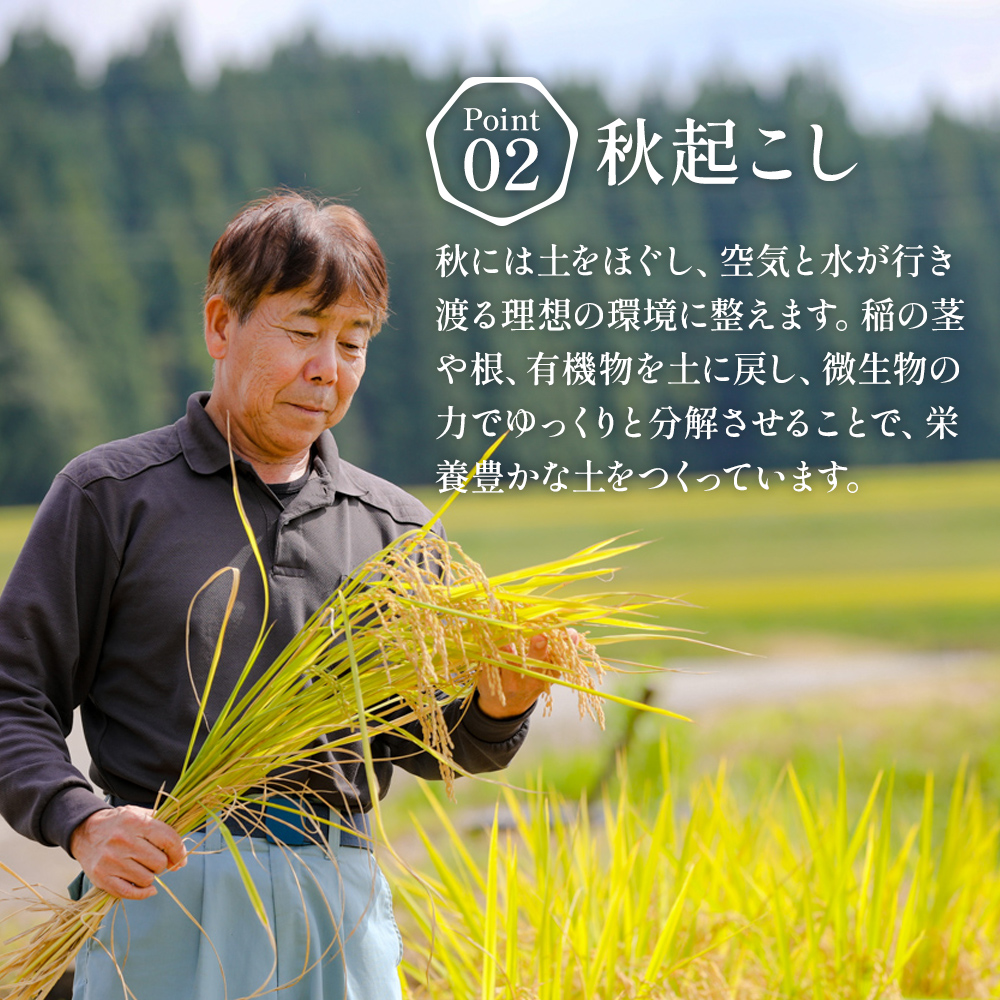 通年受付】令和7年産魚沼産特別栽培米コシヒカリ［清津の恵］精米5kg