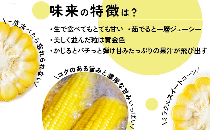 先行予約＞【2026年発送】北海道産 とうもろこし 味来 L?LLサイズ 20本