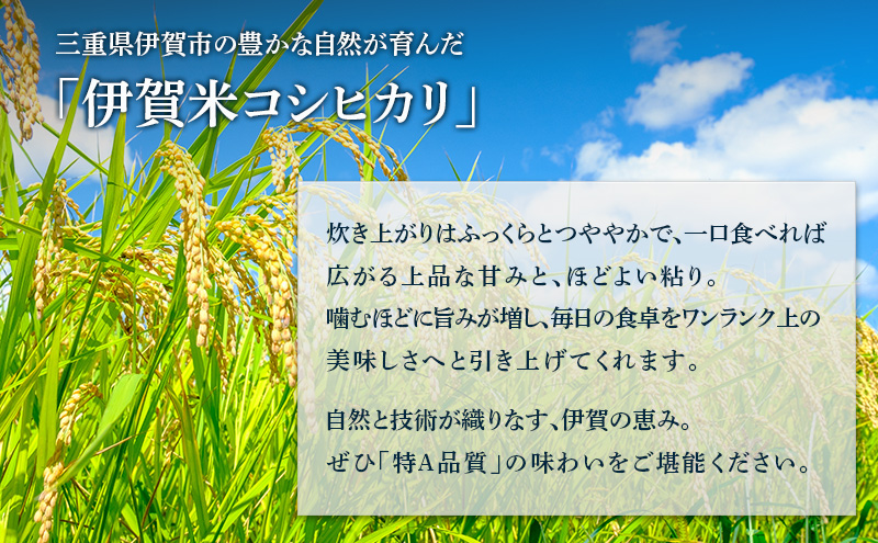 コシヒカリ 伊賀米 令和7年産 特A 定期便 3ヶ月 20kg 精米 伊賀