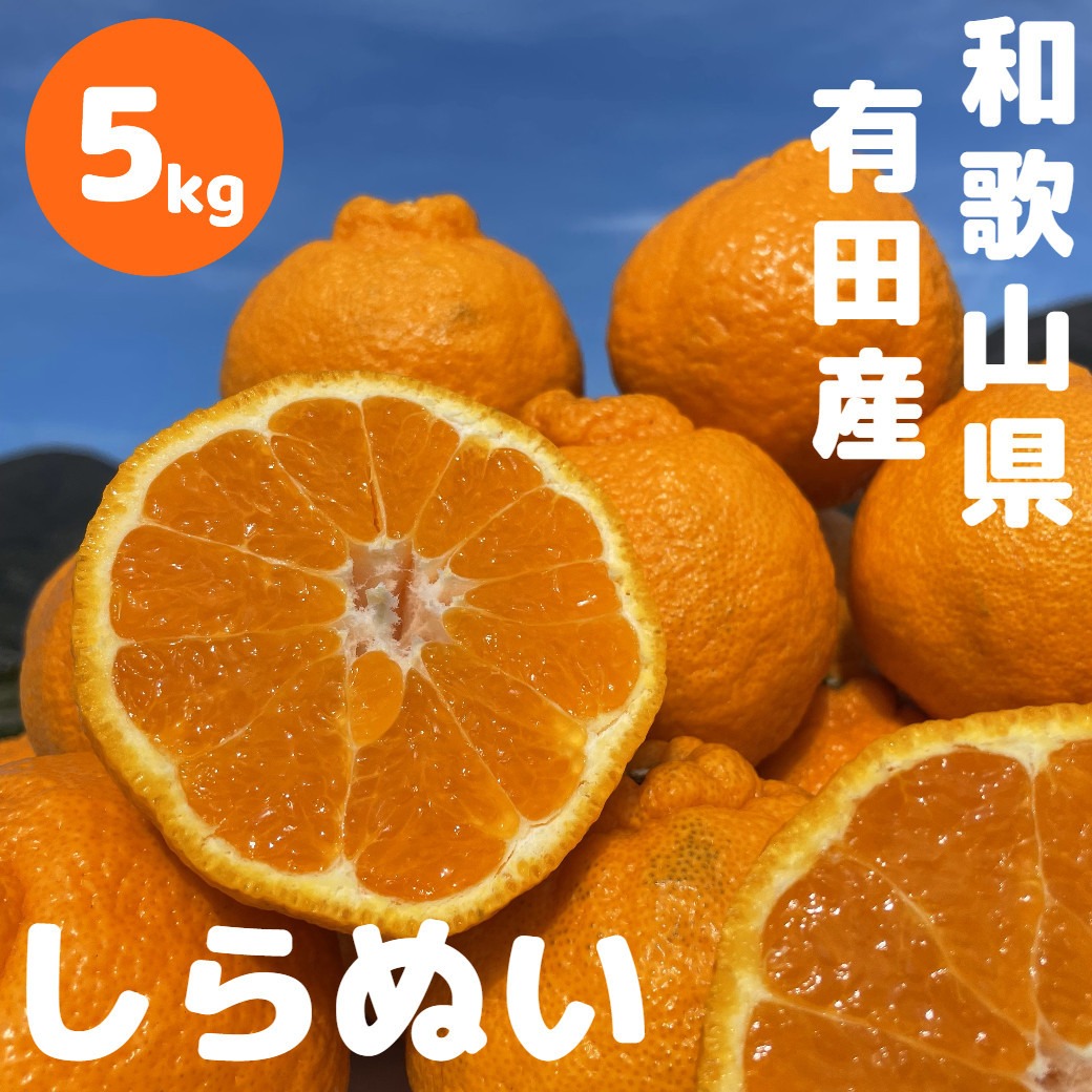 和歌山 有田 不知火 しらぬい 5kg DJ062（和歌山県有田川町