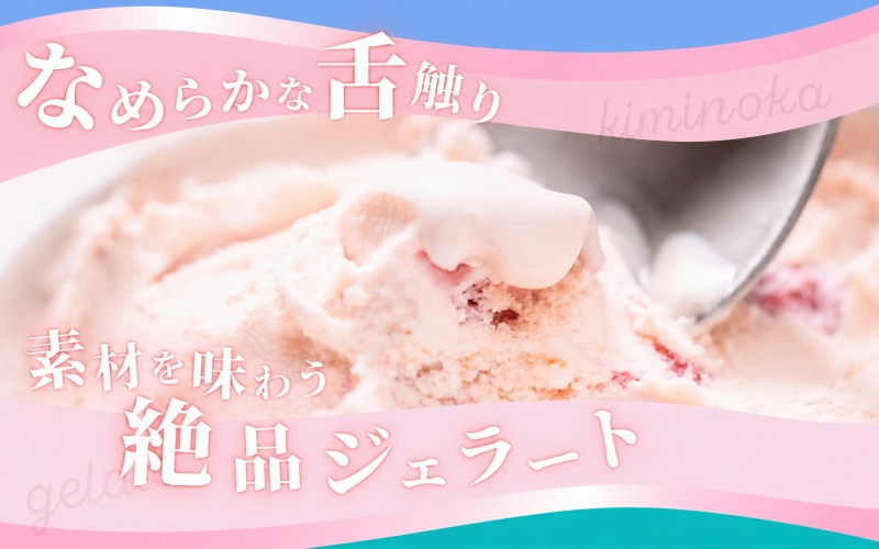 ジェラート セット 6個 1ヶ月以内発送 13000円 / キミノ―カ アイス