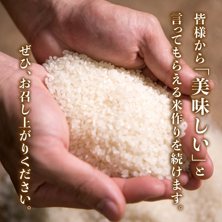 令和8年産新米】愛媛県産 コシヒカリ 5kg ｜ ご飯 白米 お米 5kg 10kg