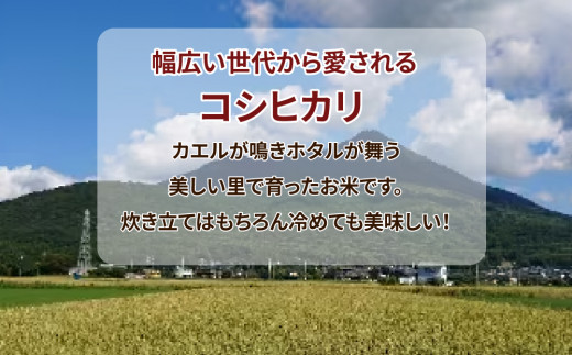令和7年産米 精米5kg×2袋、計10kg 土浦市産コシヒカリ ホタルが舞う里