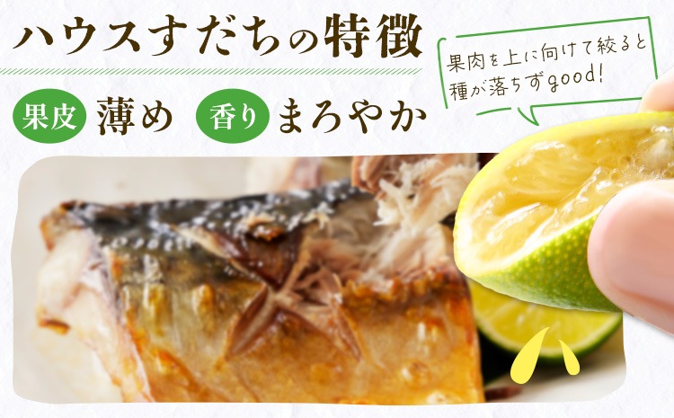 種なしすだち 9月22日収穫分 処分6キロ 【公式通販】
