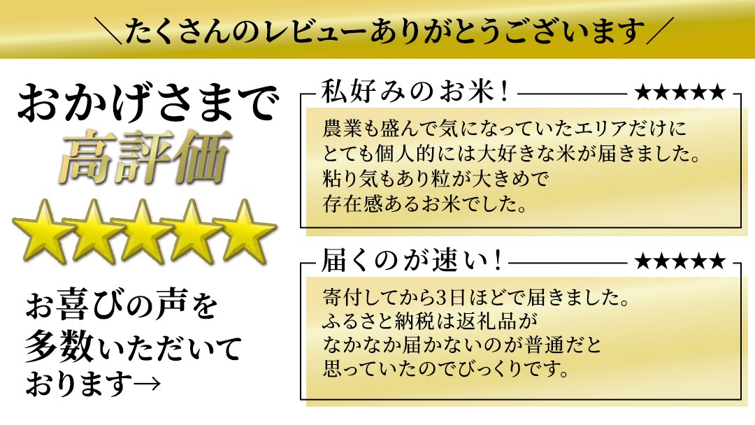 最短2日後に発送 ／ 品種おまかせ 5kg 10kg 15kg 20kg 令和7年産米