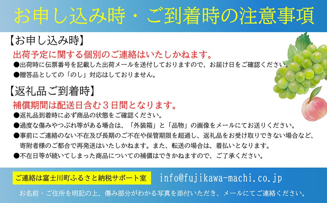 手軽に楽しむ《徳用・粒ぶどう》 【シャインマスカット】 1.0kg