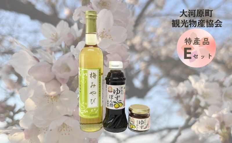 大河原町観光物産協会 特産品Eセット 加工食品 調味料 梅シロップ ゆず