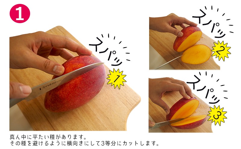 2026年発送】濃密マンゴー《秀品・約4kg》大宜味村農家さんから直送 秀