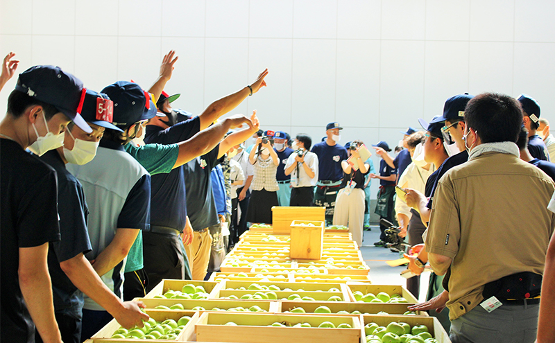 りんご 【 3月発送 】 家庭用 旬のりんご 品種おまかせ 約 5kg 2品種