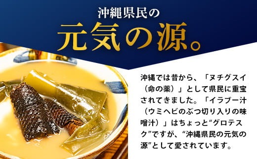 乾燥うみへび・イラブー 石垣島産「イラブー(海ヘビ)」粉末 120粒入り袋 健康補助食品・約1ヶ月