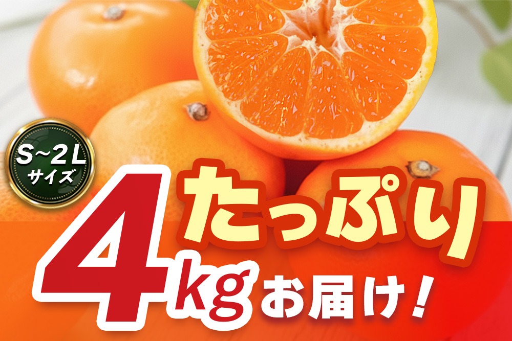 2026年10月上旬より発送開始】佐賀美人(みかん) 4kg S～2Lサイズ