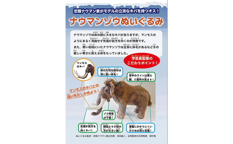 北海道幕別町]学芸員監修＆子どもたちと作った！忠類ナウマンゾウ