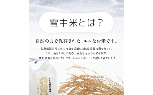 ゆめぴりか 精米 20kg 北海道産 令和8年産 特Aランク米 ゆめぴりか 精米 20kg（5kg×4袋）【12月発送