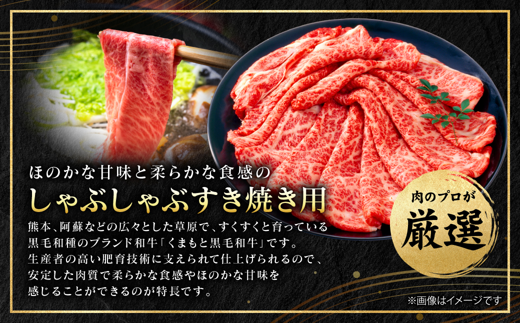 A4～A5ランク】 【厳選部位】 くまもと黒毛和牛 サーロイン